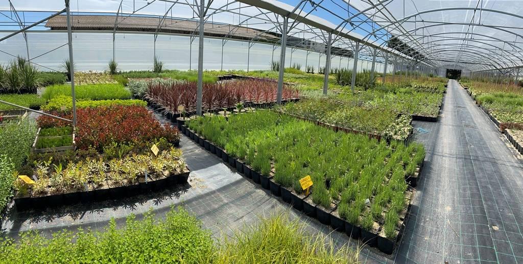 photopanoserrejpg_62e161a307619